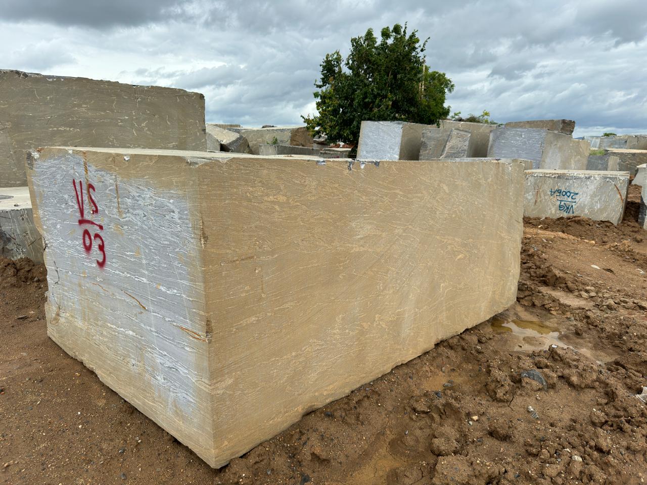 WhatsApp Image 2025-04-03 at 11.57.19 PM (1).jpeg